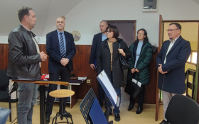 Male matice u Srijemu