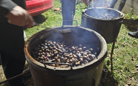  - (Kestenijada u Monoštoru / )