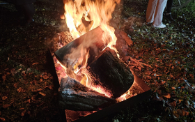  - (Kestenijada u Monoštoru / )