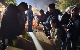  - (Kestenijada u Monoštoru / )