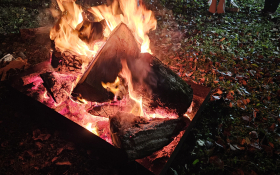  - (Kestenijada u Monoštoru / )