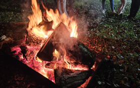  - (Kestenijada u Monoštoru / )