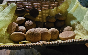  - (Kestenijada u Monoštoru / )