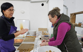  - (Kestenijada u Monoštoru / )