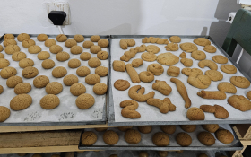  - (Kestenijada u Monoštoru / )