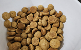  - (Kestenijada u Monoštoru / )