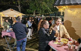  - (Kestenijada u Monoštoru / )