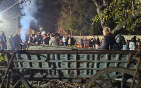  - (Kestenijada u Monoštoru / )