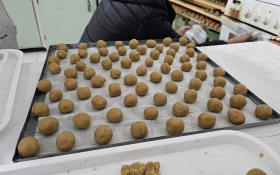  - (Kestenijada u Monoštoru / )