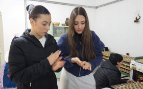  - (Kestenijada u Monoštoru / )