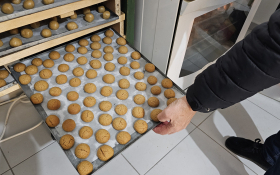  - (Kestenijada u Monoštoru / )