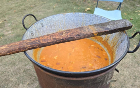  - (Gastrofest u Maloj Bosni / )