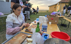  - (Gastrofest u Maloj Bosni / )
