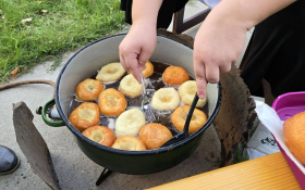  - (Gastrofest u Maloj Bosni / )