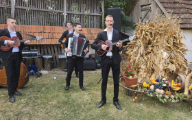 Tavankutski festival voća