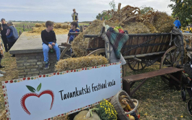 Tavankutski festival voća
