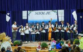 Miholjski koncert