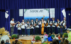 Miholjski koncert