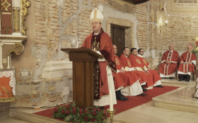 - (Proslava zaštitnika Srijemske biskupije  / )