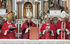 - (Proslava zaštitnika Srijemske biskupije  / )