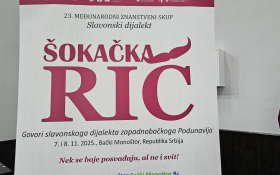 Međunarodni znanstveni skup o slavonskom dija