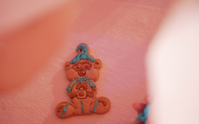 Promocija Hrckovog kuhara