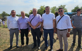  - (Hrvatski Majur / )