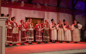  - (Koncert folkloraša iz Subotice i Čučerja  / )