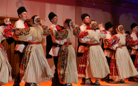  - (Koncert folkloraša iz Subotice i Čučerja  / )