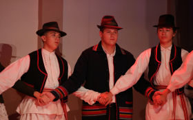  - (Koncert folkloraša iz Subotice i Čučerja  / )