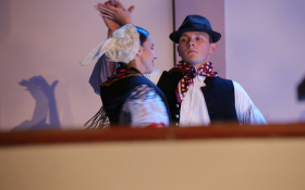  - (Koncert folkloraša iz Subotice i Čučerja  / )