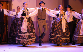  - (Koncert folkloraša iz Subotice i Čučerja  / )