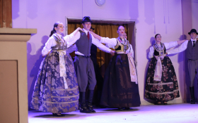  - (Koncert folkloraša iz Subotice i Čučerja  / )
