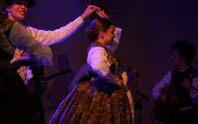  - (Koncert folkloraša iz Subotice i Čučerja  / )