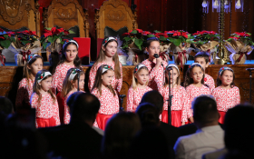  - (Dan izbora prvog saziva HNV-a / )