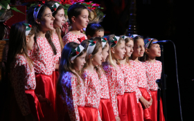  - (Dan izbora prvog saziva HNV-a / )