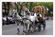  - (Dužijanca 2012 / Aktualno)