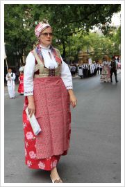  - (Dužijanca 2012 / Aktualno)
