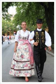  - (Dužijanca 2012 / Aktualno)
