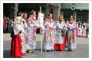  - (Dužijanca 2012 / Aktualno)