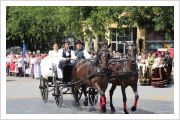  - (Dužijanca 2012 / Aktualno)