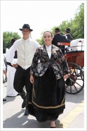  - (Dužijanca 2012 / Aktualno)