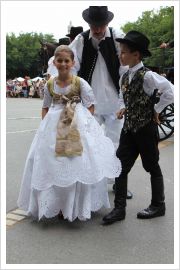  - (Dužijanca 2012 / Aktualno)