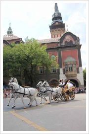  - (Dužijanca 2012 / Aktualno)