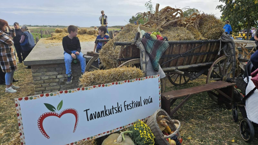 XV. Tavankutski festival voća i autohtonih rukotvorina