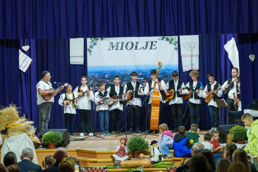 Miholjski koncert u Novom Slankamenu
