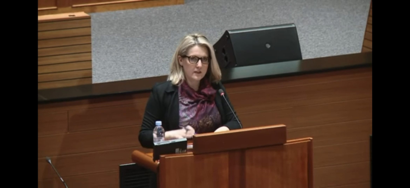 Jasna Vojnić u Hrvatskom saboru: »Manjine nisu problem, nego potencijal«