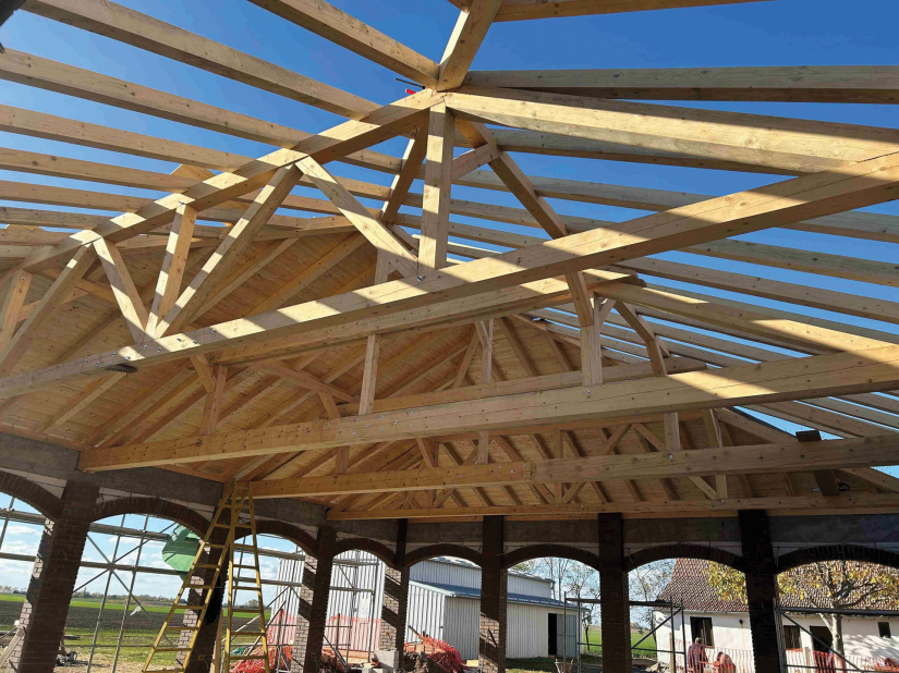 Impozantna sjenica upotpunila  risarski salaš u Đurđinu