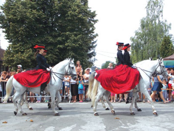 Razigrana monoštorska fešta