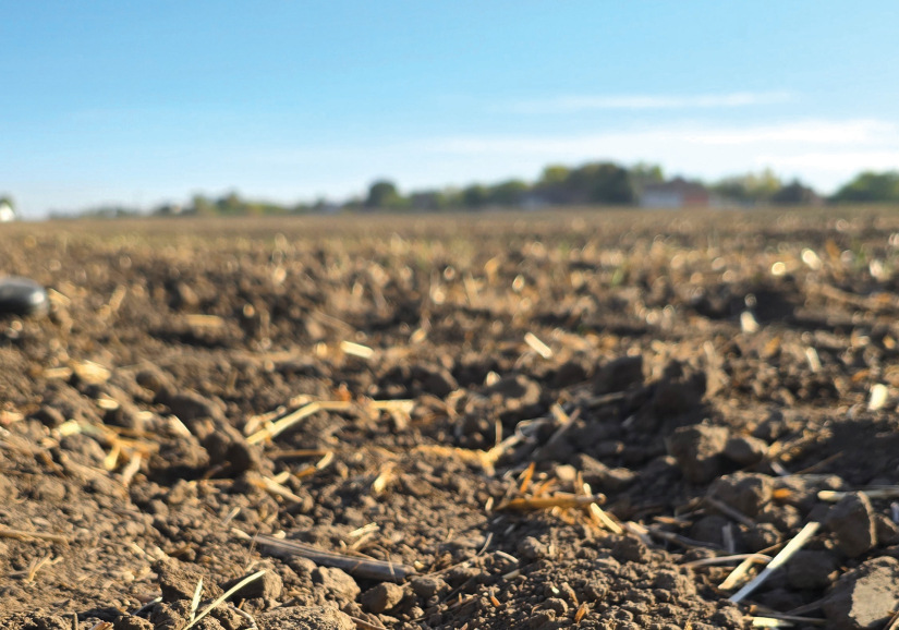 Je li jesen odredila ljetinu?
